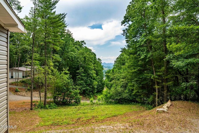 144 Todd Ln, Mountain City, TN 37683 - photo 8