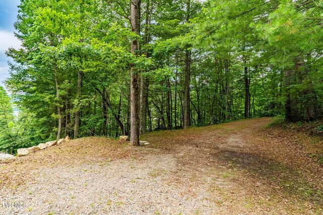 144 Todd Ln, Mountain City, TN 37683 - photo 15