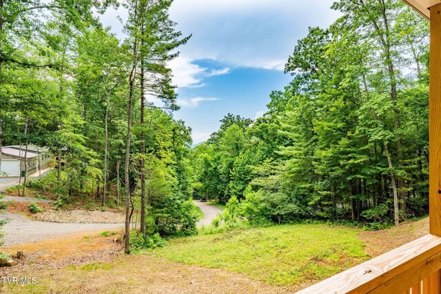 144 Todd Ln, Mountain City, TN 37683 - photo 20