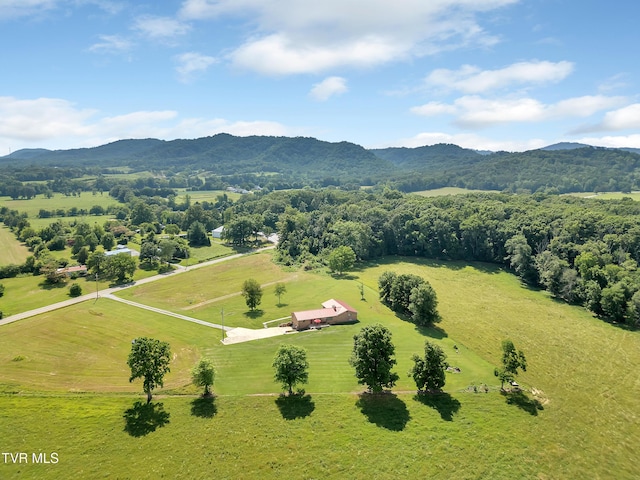 10960 Lonesome Pine Trl, Bulls Gap, TN 37711 - photo 2