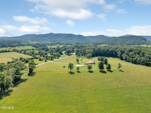 10960 Lonesome Pine Trl, Bulls Gap, TN 37711 - photo 7