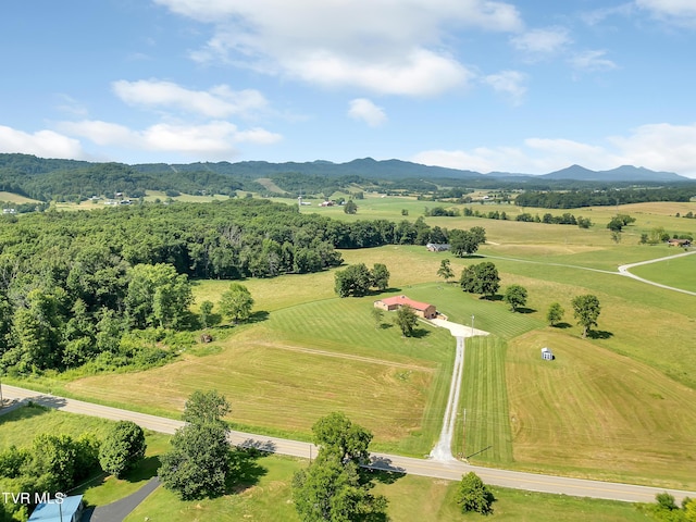 10960 Lonesome Pine Trl, Bulls Gap, TN 37711 - photo 43