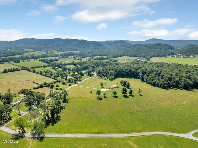 10960 Lonesome Pine Trl, Bulls Gap, TN 37711 - photo 45
