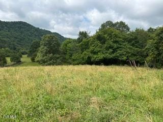 0 Trent Vly, Sneedville, TN 37869 - photo 1