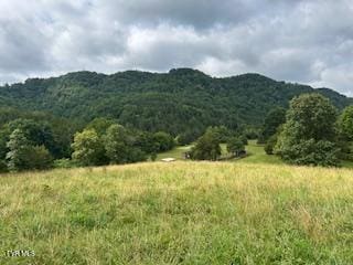 0 Trent Vly, Sneedville, TN 37869 - photo 2