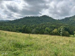 0 Trent Vly, Sneedville, TN 37869 - photo 3