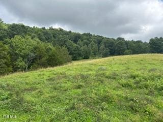 0 Trent Vly, Sneedville, TN 37869 - photo 6