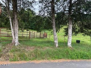 0 Trent Vly, Sneedville, TN 37869 - photo 14