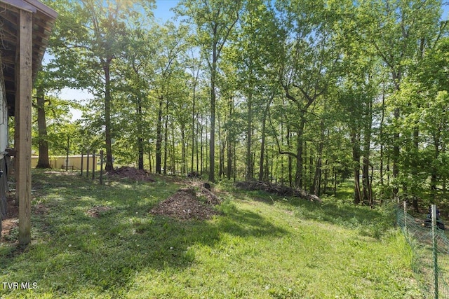 920 Parton Loop, Greeneville, TN 37743 - view of yard