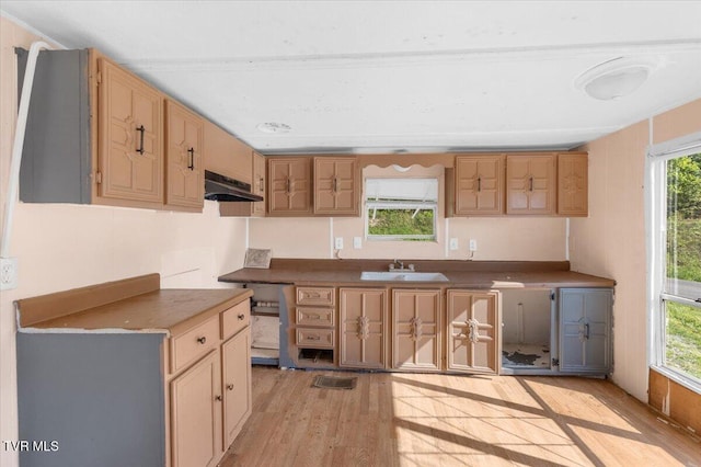 920 Parton Loop, Greeneville, TN 37743 - kitchen with healthy amount of natural light, light wood-style floors, and under cabinet range hood