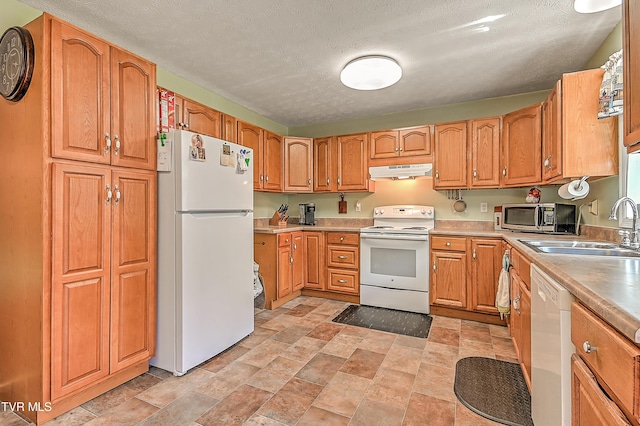 116 Regency Dr, Rogersville, TN 37857 - photo 9
