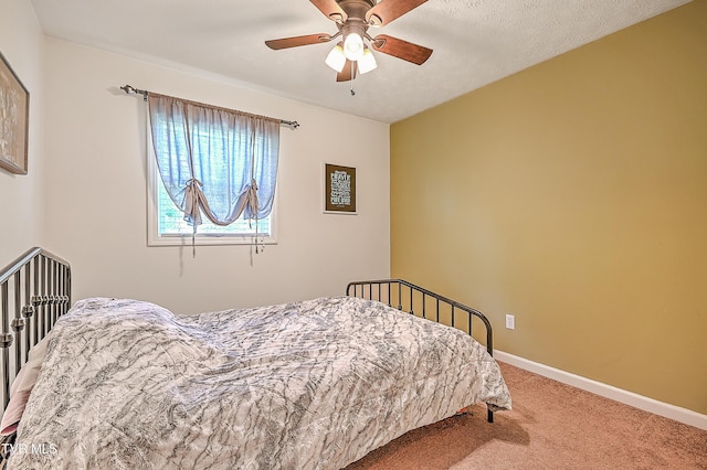 116 Regency Dr, Rogersville, TN 37857 - photo 11