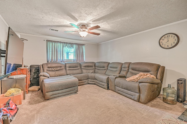 116 Regency Dr, Rogersville, TN 37857 - photo 18