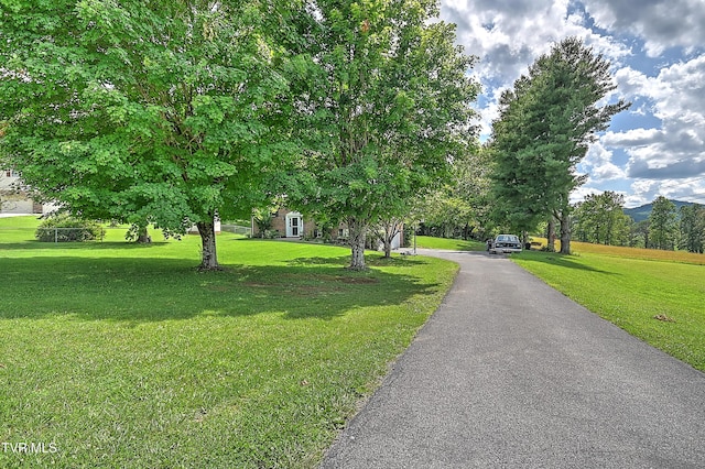 116 Regency Dr, Rogersville, TN 37857 - photo 25