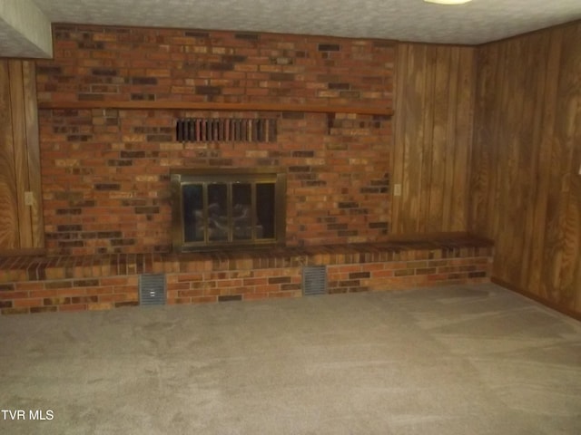 313 Milburn Ave, Kingsport, TN 37660 - unfurnished living room featuring carpet flooring and wood walls