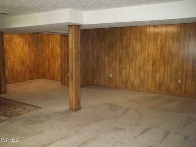313 Milburn Ave, Kingsport, TN 37660 - finished basement featuring carpet floors, wooden walls, and a textured ceiling