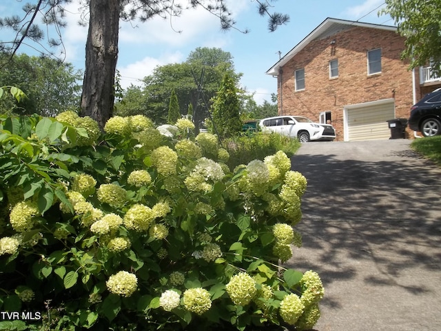 313 Milburn Ave, Kingsport, TN 37660 - view of side of home with asphalt driveway, brick siding, and a garage