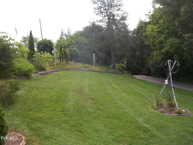 313 Milburn Ave, Kingsport, TN 37660 - view of grassy yard