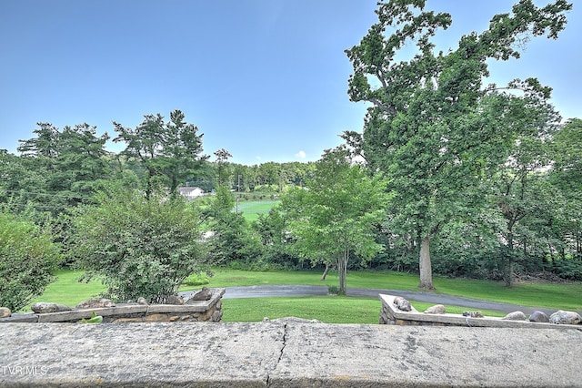 1027 W Summer St, Greeneville, TN 37743 - photo 62