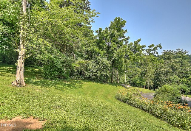 1027 W Summer St, Greeneville, TN 37743 - photo 69