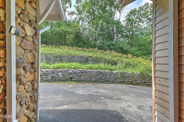 1027 W Summer St, Greeneville, TN 37743 - photo 70