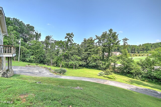 1027 W Summer St, Greeneville, TN 37743 - photo 72
