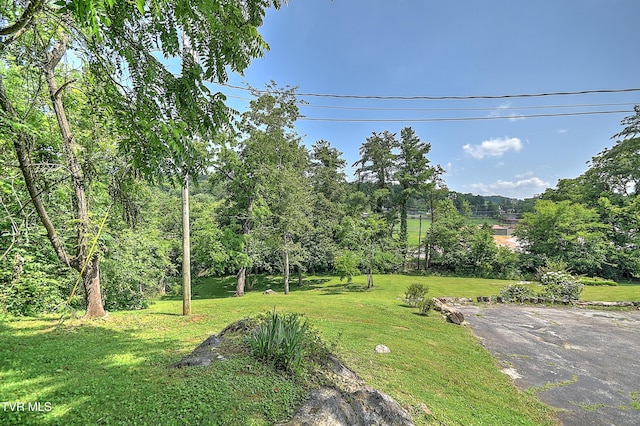 1027 W Summer St, Greeneville, TN 37743 - photo 73