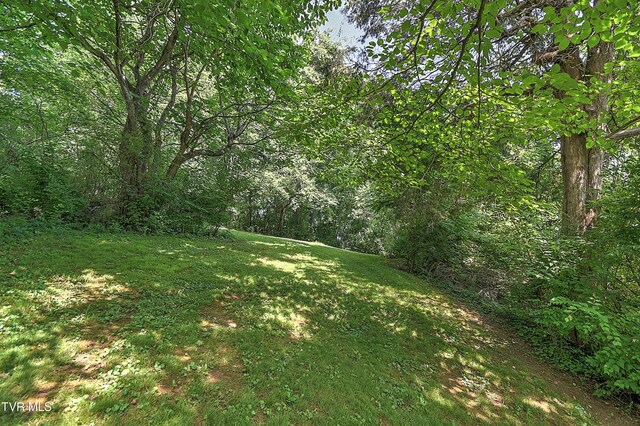 1027 W Summer St, Greeneville, TN 37743 - photo 74