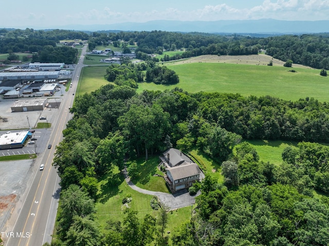 1027 W Summer St, Greeneville, TN 37743 - photo 82