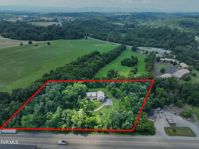 1027 W Summer St, Greeneville, TN 37743 - photo 85