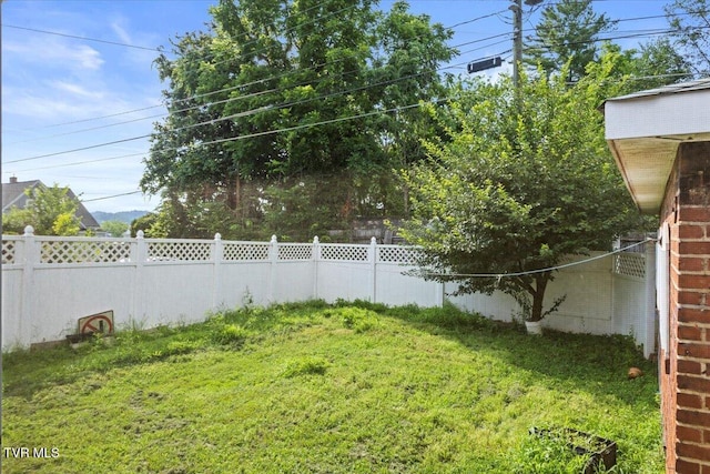 909 Highland Ave, Bristol, VA 24201 - view of yard
