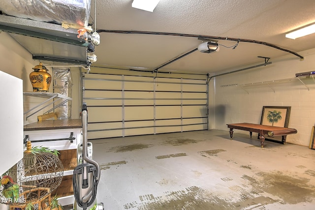 226 Willowbend Ct, Kingsport, TN 37660 - garage with a garage door opener and concrete block wall