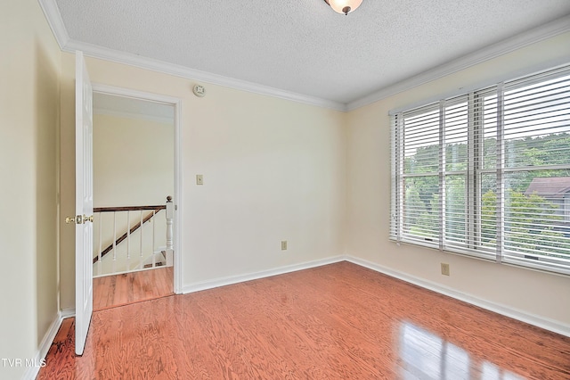 226 Willowbend Ct, Kingsport, TN 37660 - unfurnished room featuring wood finished floors, healthy amount of natural light, a textured ceiling, and ornamental molding