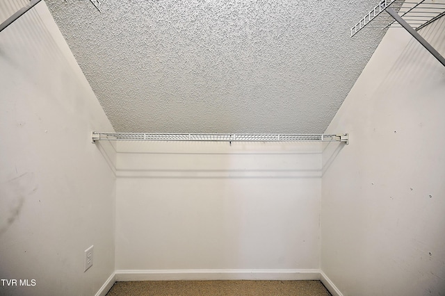 226 Willowbend Ct, Kingsport, TN 37660 - spacious closet featuring carpet