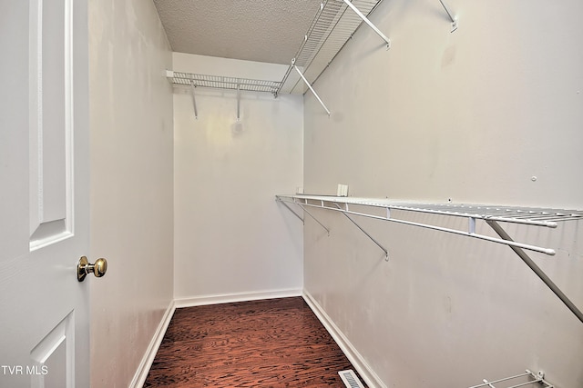 226 Willowbend Ct, Kingsport, TN 37660 - walk in closet with wood finished floors