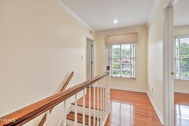 226 Willowbend Ct, Kingsport, TN 37660 - corridor with a textured ceiling, healthy amount of natural light, ornamental molding, light wood-style flooring, and an upstairs landing