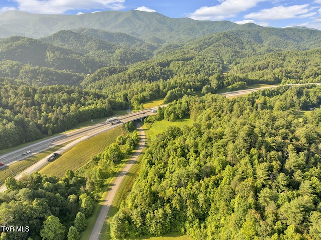 . Clear Branch Road, Erwin, TN 37650 - photo 2