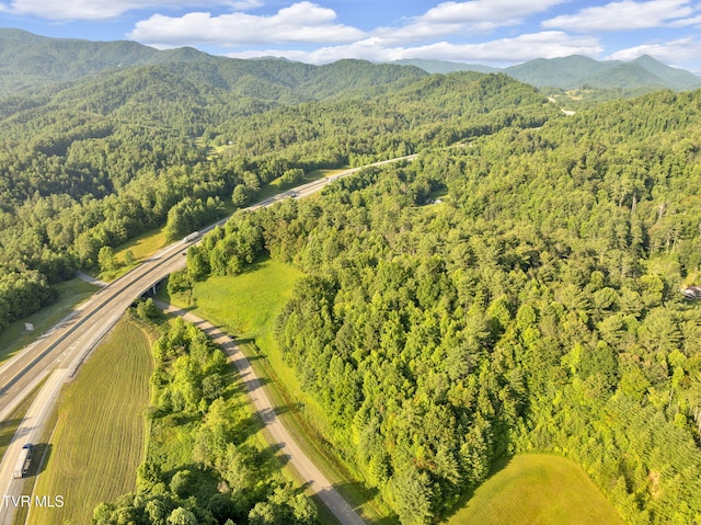 . Clear Branch Road, Erwin, TN 37650 - photo 3