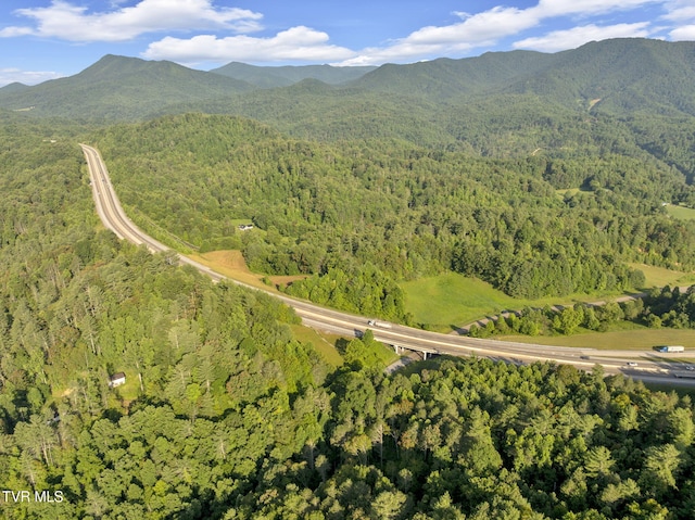 . Clear Branch Road, Erwin, TN 37650 - photo 5