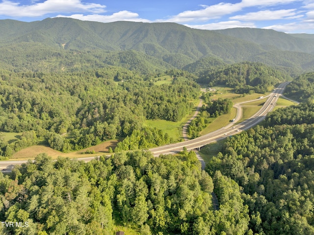 . Clear Branch Road, Erwin, TN 37650 - photo 6