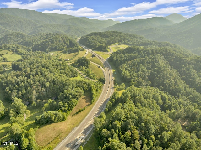. Clear Branch Road, Erwin, TN 37650 - photo 7