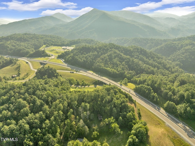 . Clear Branch Road, Erwin, TN 37650 - photo 8