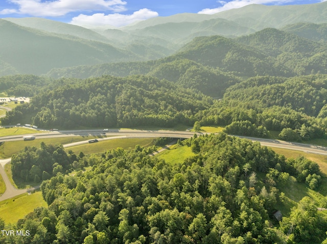 . Clear Branch Road, Erwin, TN 37650 - photo 9