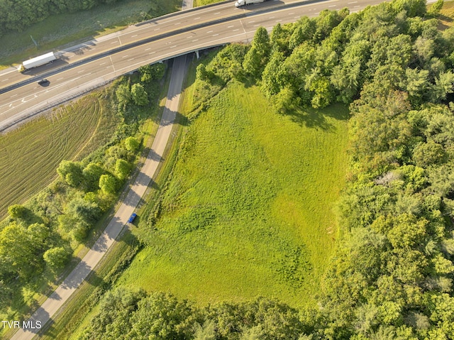 . Clear Branch Road, Erwin, TN 37650 - photo 10