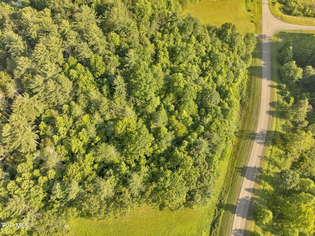 . Clear Branch Road, Erwin, TN 37650 - photo 11