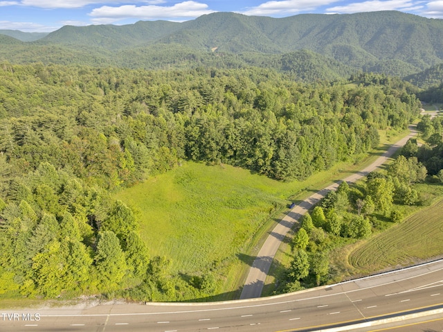 . Clear Branch Road, Erwin, TN 37650 - photo 1