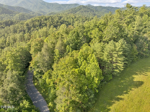 . Clear Branch Road, Erwin, TN 37650 - photo 13