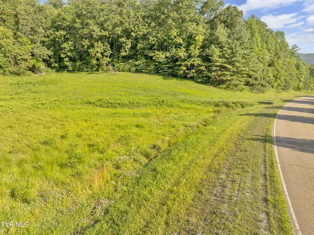 . Clear Branch Road, Erwin, TN 37650 - photo 14