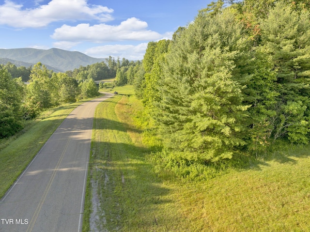. Clear Branch Road, Erwin, TN 37650 - photo 15
