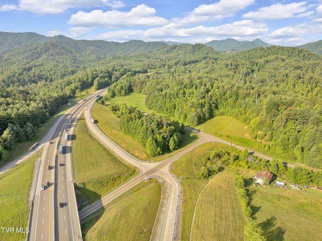 . Clear Branch Road, Erwin, TN 37650 - photo 17